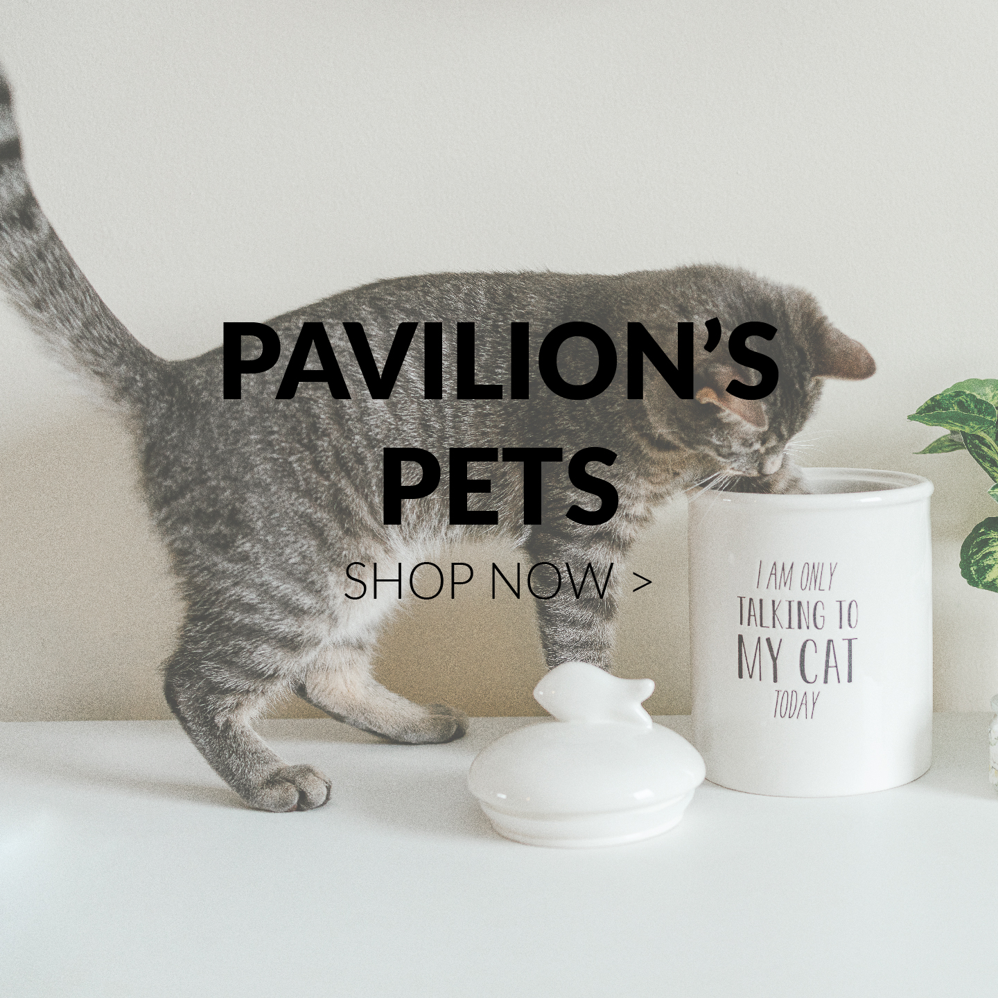 Pavilion's Pets